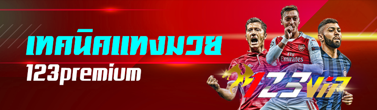 เทคนิคแทงมวย 123premium 