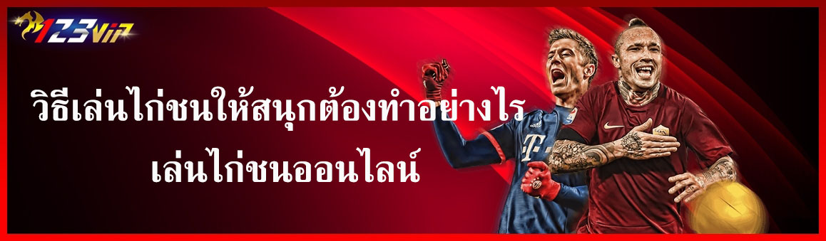 วิธีเล่นไก่ชนให้สนุกต้องทำอย่างไร เล่นไก่ชนออนไลน์
