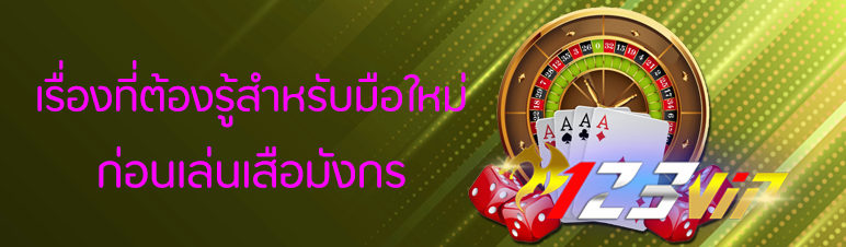 เรื่องที่ต้องรู้สำหรับมือใหม่ก่อนเล่นเสือมังกร