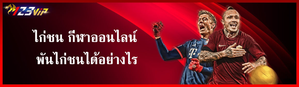 ไก่ชน กีฬาออนไลน์ พันไก่ชนได้อย่างไร
