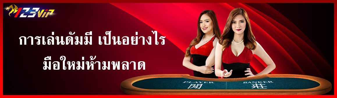 การเล่นดัมมี่ เป็นอย่างไร มือใหม่ห้ามพลาด